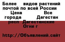 Более200 видов растений почтой по всей России › Цена ­ 100-500 - Все города  »    . Дагестан респ.,Дагестанские Огни г.